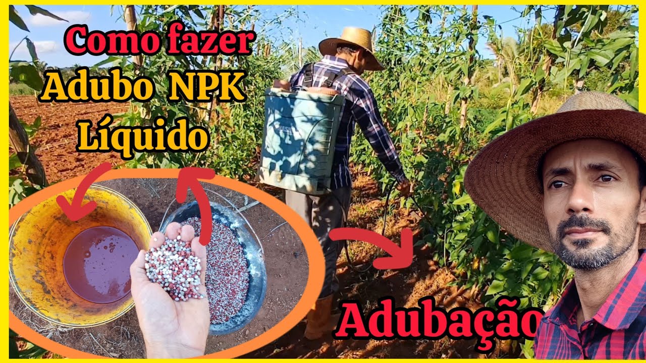 Como fazer adubo l&iacute;quido para hortali&ccedil;as.