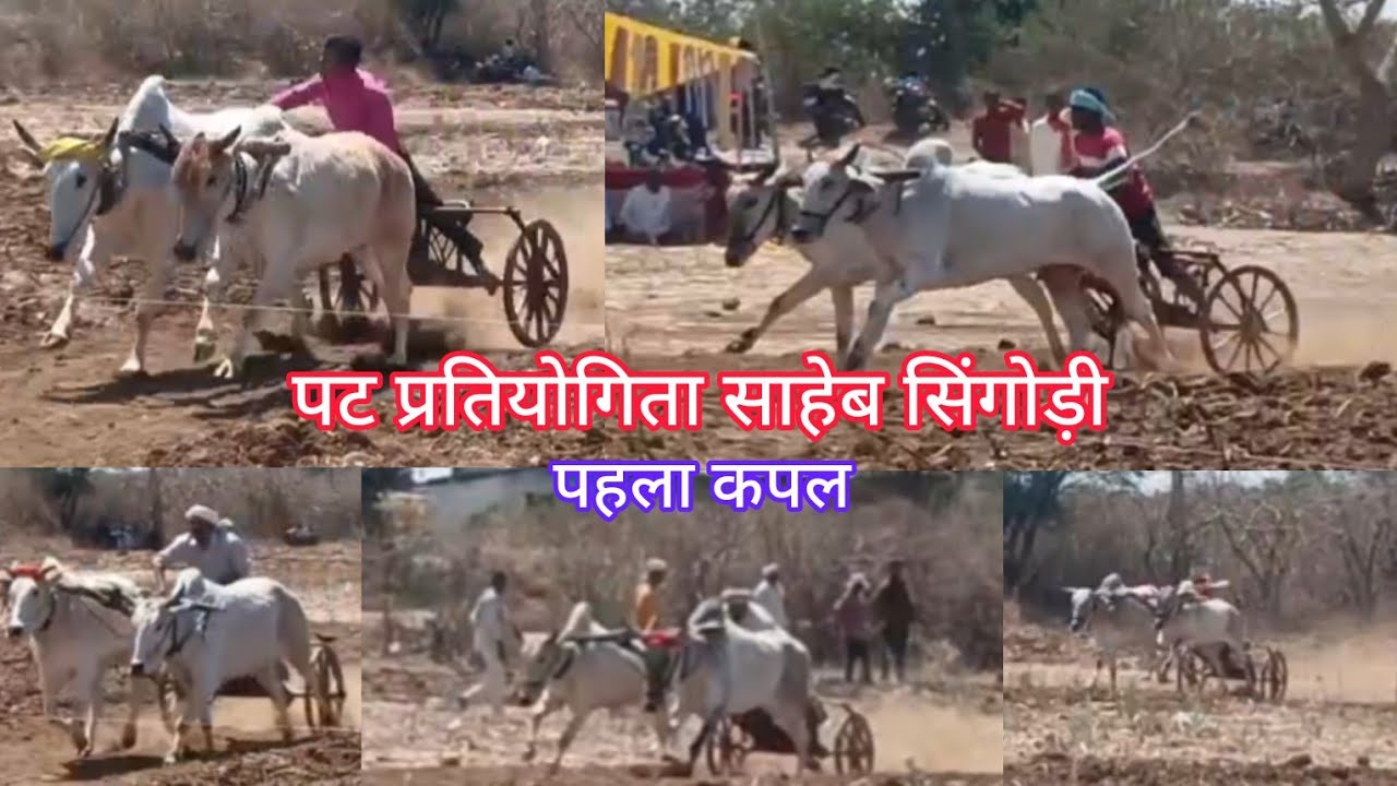( पट प्रतियोगिता साहेब सिंगोड़ी ) ⚡ पहला कपल