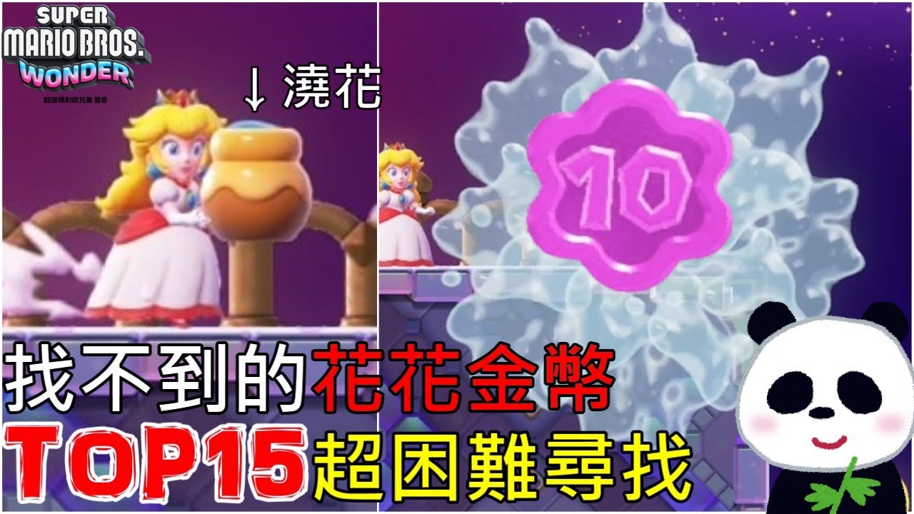 【超級瑪利歐兄弟 驚奇】找不到的花花金幣TOP15排行榜解說 老任真的心機又邪惡 怎麼會藏在這種地方呢？【地方熊貓】Super Mario Wonder マリオ ワンダー cool detail
