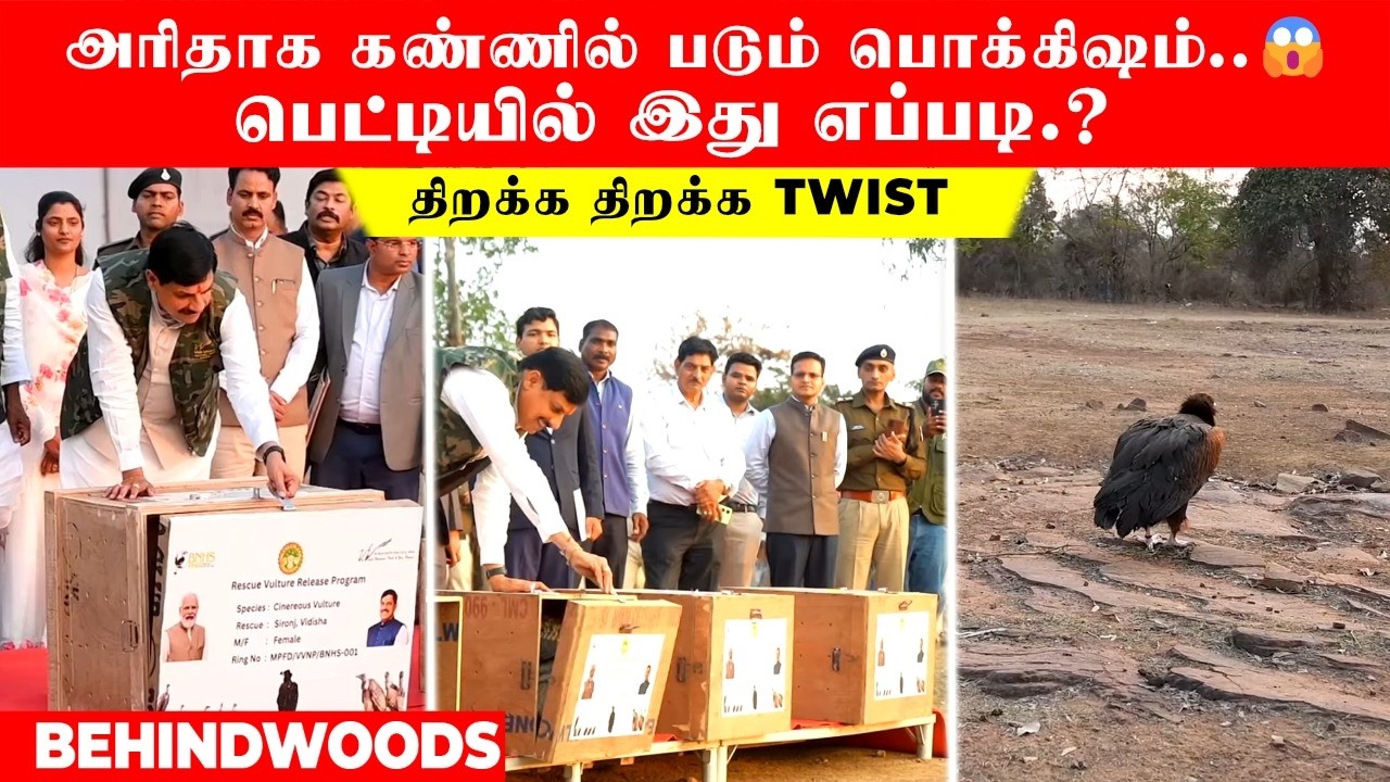 அரிதாக கண்ணில் படும் பொக்கிஷம்..😱 பெட்டியில் இது எப்படி.? திறக்க திறக்க Twist
