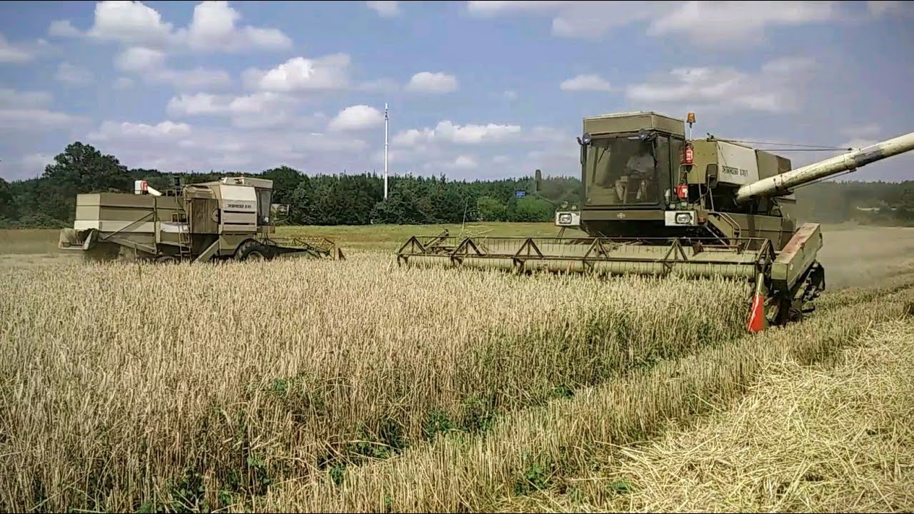 Getreideernte im Komplex mit Fortschritt E 516B, E 514 und ZT 300-C