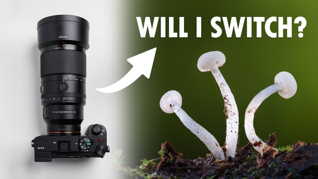 I Never Thought I&rsquo;d Use Sony For Macro Photography (A7CR + 100mm F/2.8 GM)