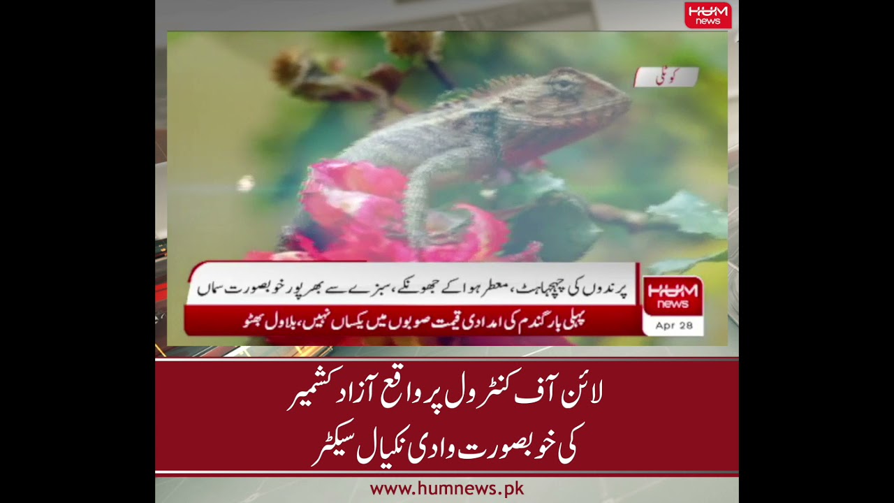 Nakyal - A beauitgul valley situated on Line of Control, Azad Kashmir | Hum News