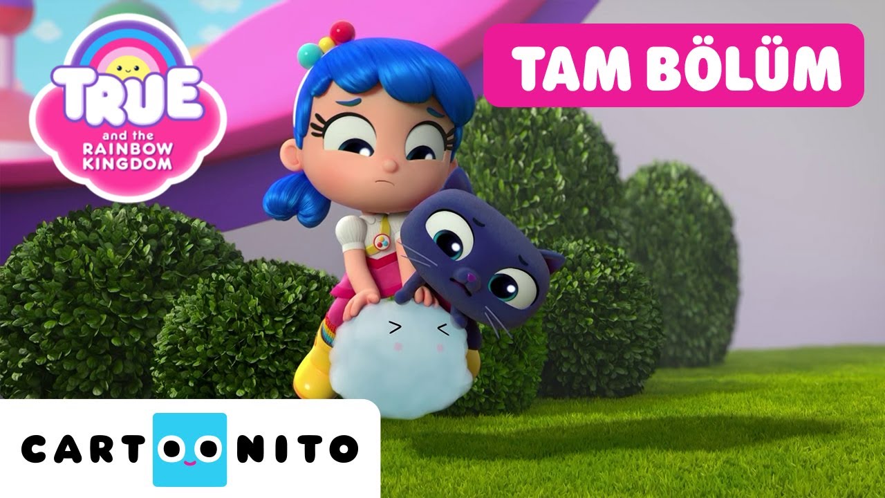 TRUE VE GÖKKUŞAĞI KRALLIĞI | Cumulo Nerede? | TAM BÖLÜM |  @CartoonitoTurkiye