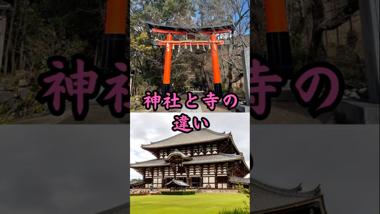 神社と寺の違い　#歴史 #雑学 #宗教 #仏教 #神道