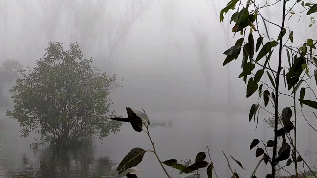 Unexplored regions in India - the western ghats 3, must see