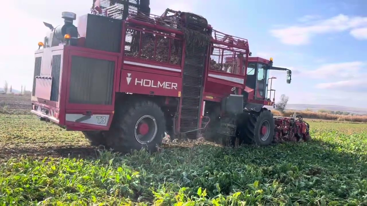 Holmer t3 ile pancar sökümü çorum alaca