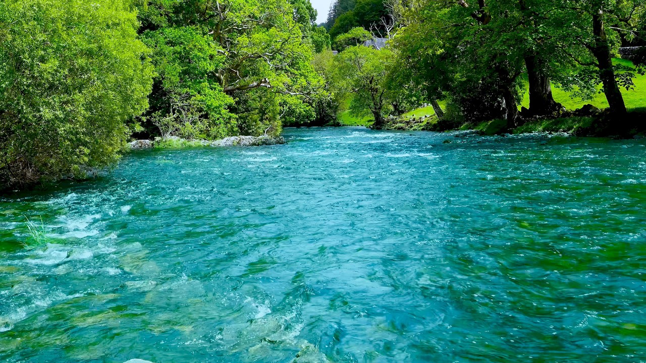 The Most Relaxing River on YouTube? 🌿😴 No Birds | 4K Mountain River Sounds for Sleep, Meditation.