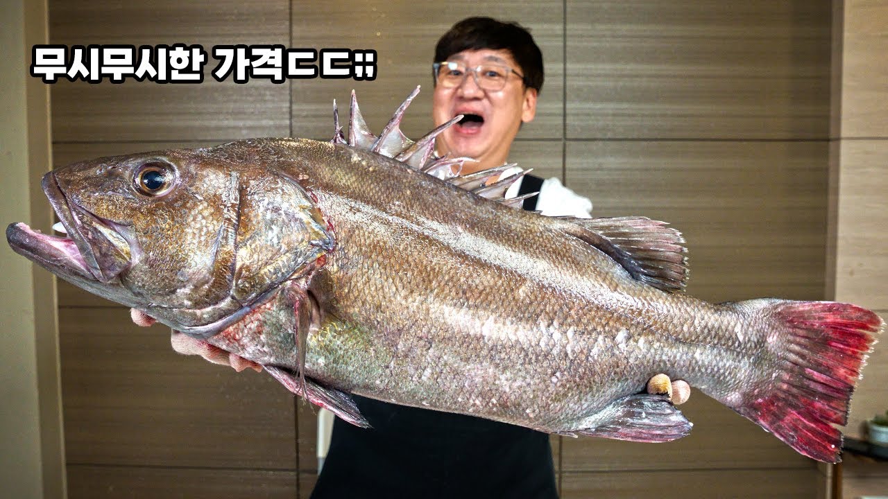 평생 한번 먹어볼까? 가정집에 들여놔선 안 될 물고기를 해체했습니다.