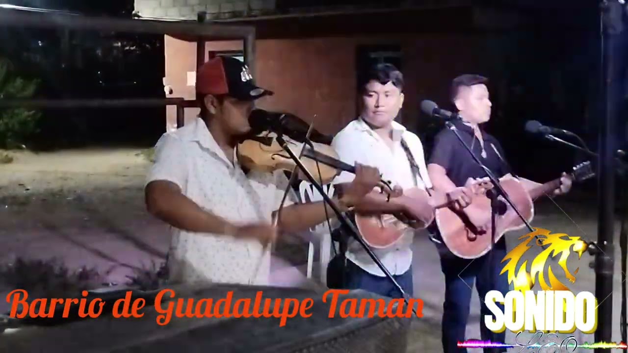Trío Herederos del Rancho en Bo. De Guadalupe Taman Tmz