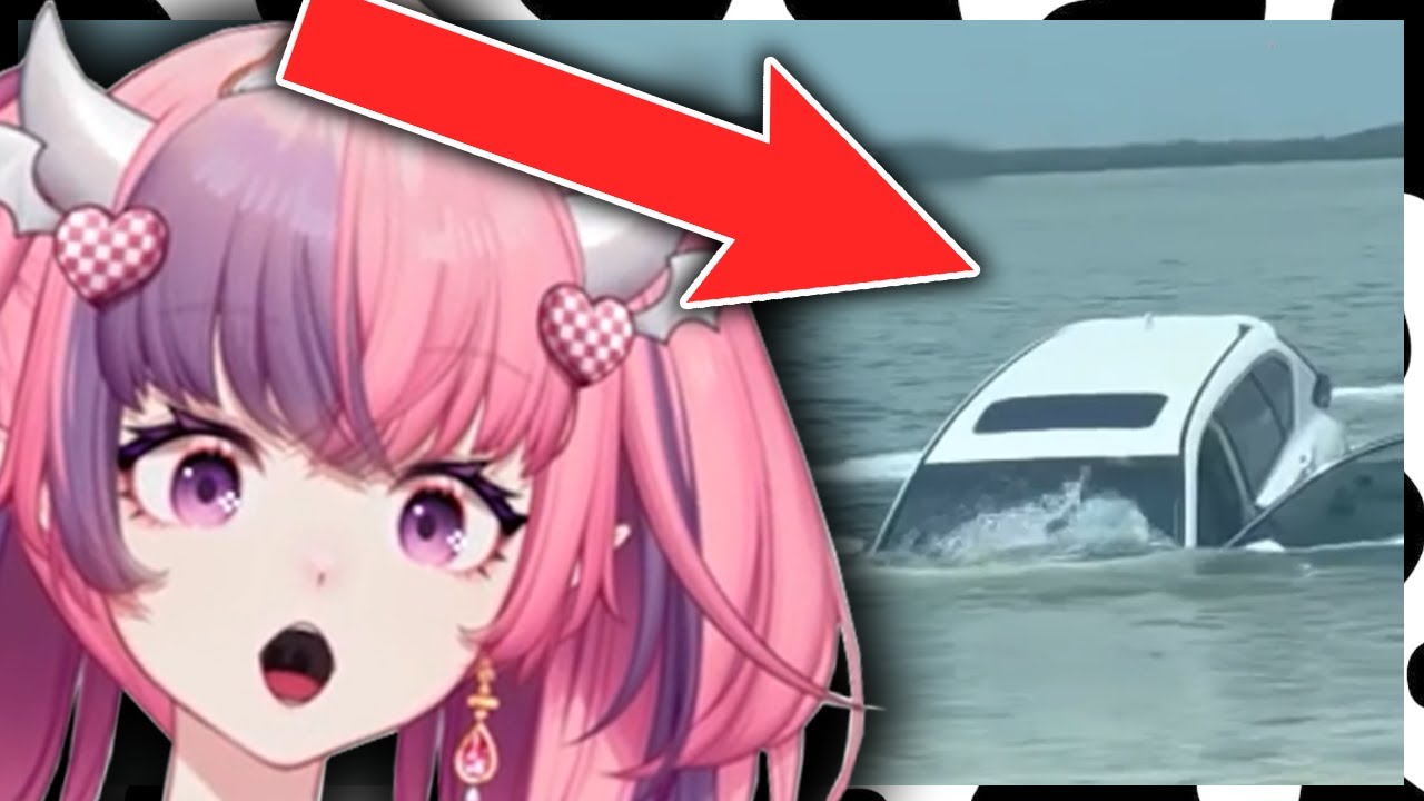 Videos that make Mouse Laugh # 11