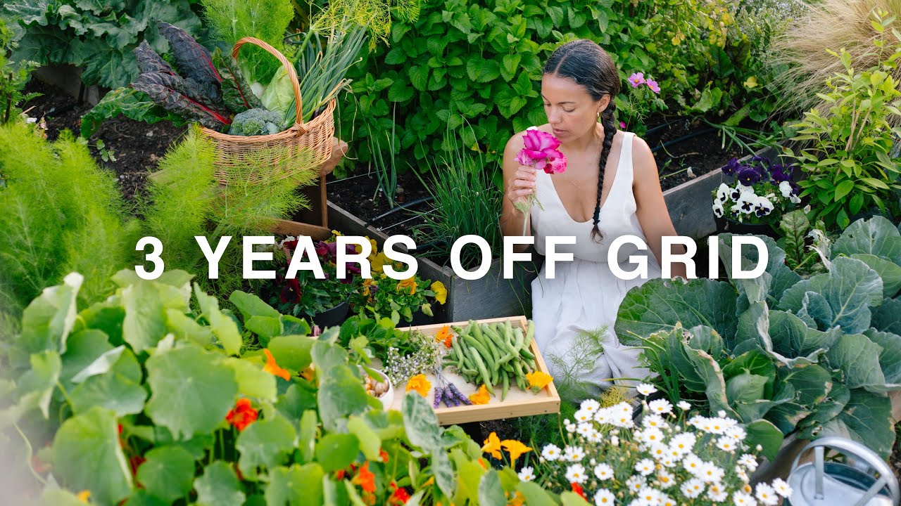 3 Years Growing a vegetables garden in abandoned land | Satisfying harvest 🌾 Slow countryside life