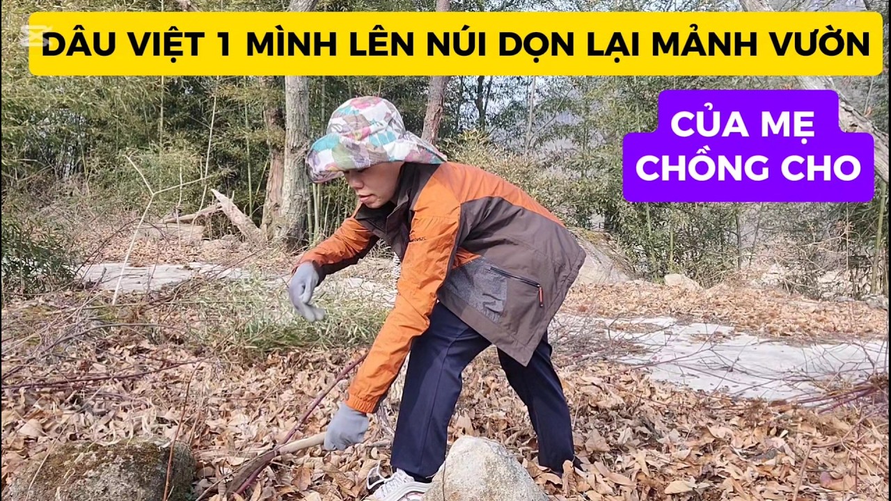 235# D&Acirc;U VIỆT NGHE LỜI CHỊ CHỒNG DẠY BẢO..VỀ QU&Ecirc; L&Ecirc;N N&Uacute;I DỌN DẸP LẠI MIẾNG VƯỜN CỦA MẸ CHỒNG CHO..