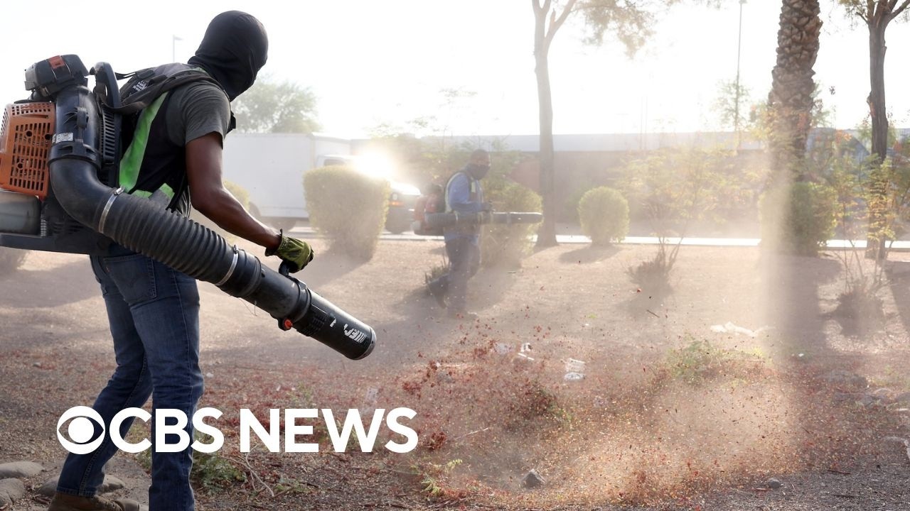 Some U.S. communities banning or restricting loud leaf blowers
