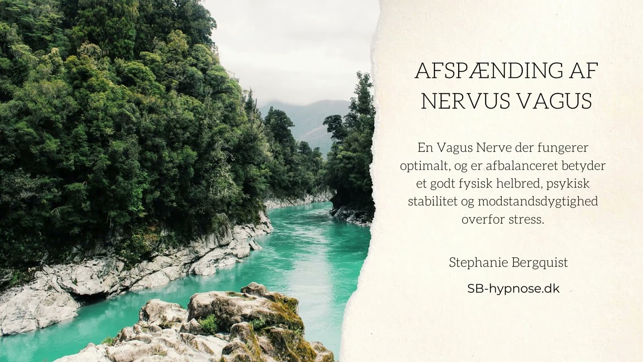Meditation - Afbalancering af Vagus Nerven