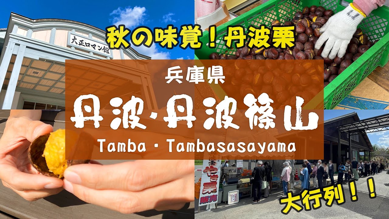 【秋の味覚・丹波栗】大行列！？よんチャンTVで見た、道の駅丹波おばあちゃんの里へ焼き栗を買いに行こう！【丹波市丹波篠山市2023年10月6日】