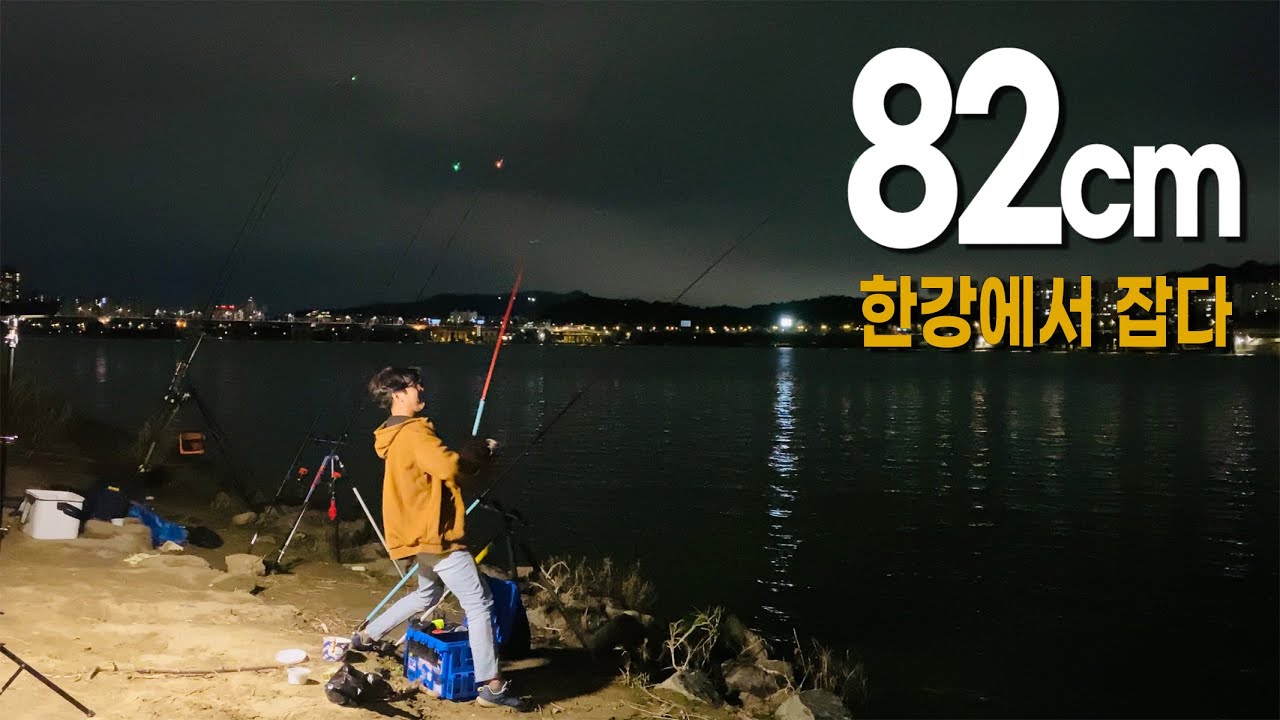 한강에서 82cm를 잡다🎣 원투낚시 최대어 갱신(한강 원투낚시)(이촌한강공원)