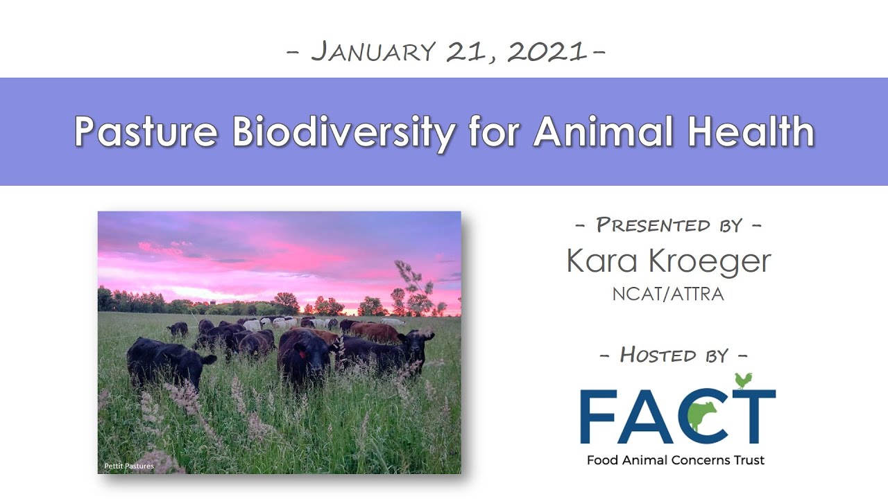 Pasture Biodiversity for Animal Health Webinar