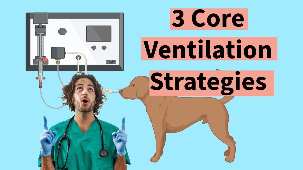 Mechanical Ventilation in Dogs and Cats: Are You Doing It Right?