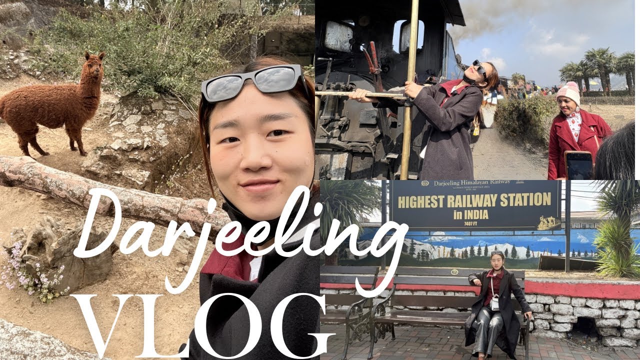 📍Darjeeling Toy - Train Adventure 🚂 | Ghum Station, Batasia Loop & Zoo #darjeeling  #travelvlog 