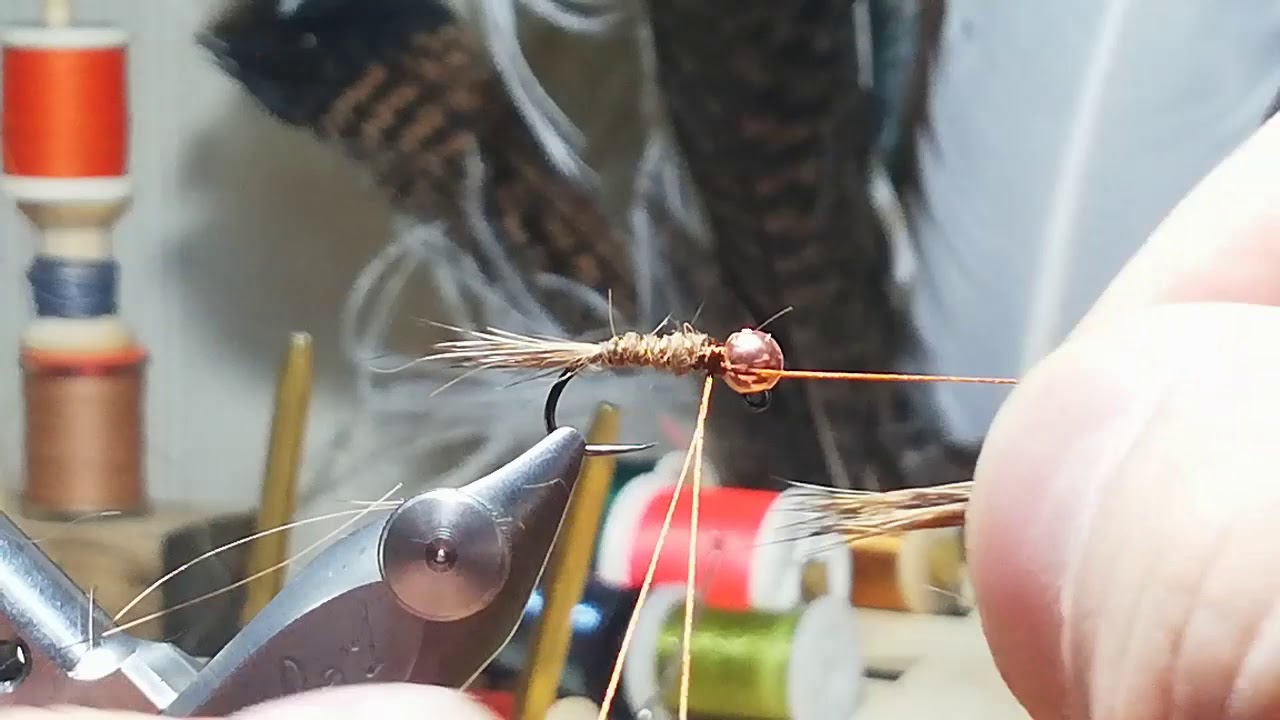 Oreja de liebre ninfa.