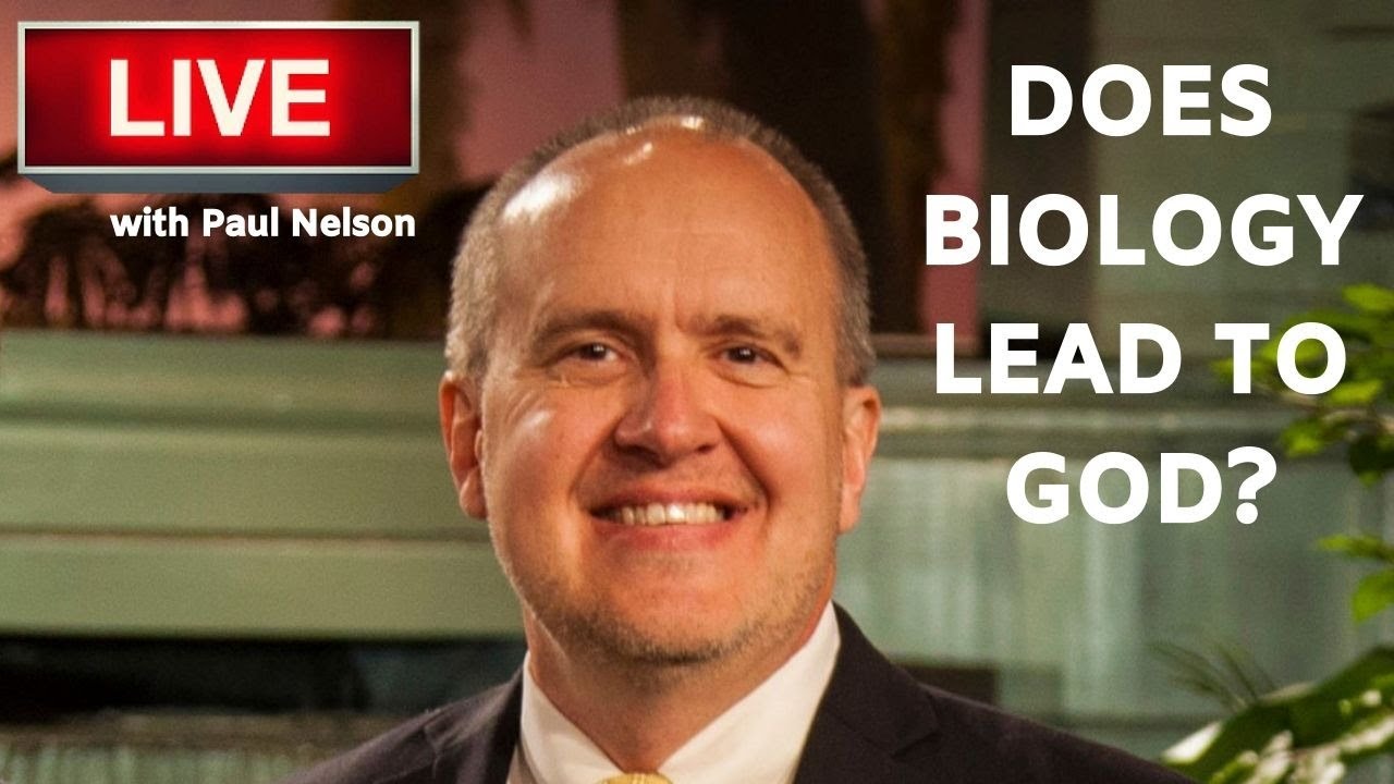 Does Biology lead to God? - Discussion on ID with Paul Nelson