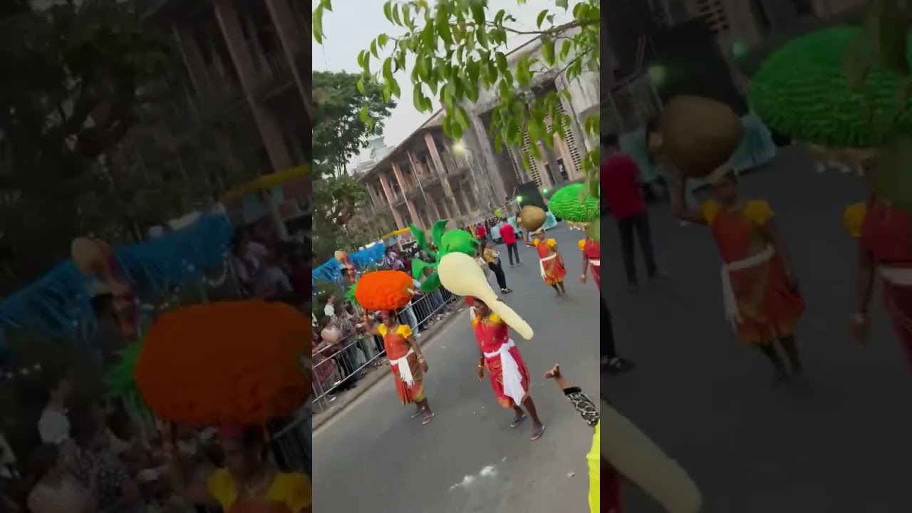 Canaval ម្នាក់ឯងរាល់ឆ្នាំ 