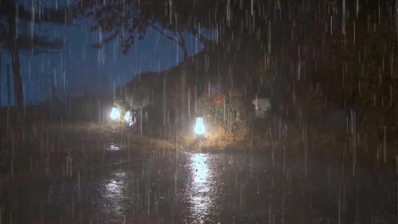 Instant Sleep with Forest HEAVY RAIN | Nature Rain Ambience for Deep Calm, Rest & Meditation