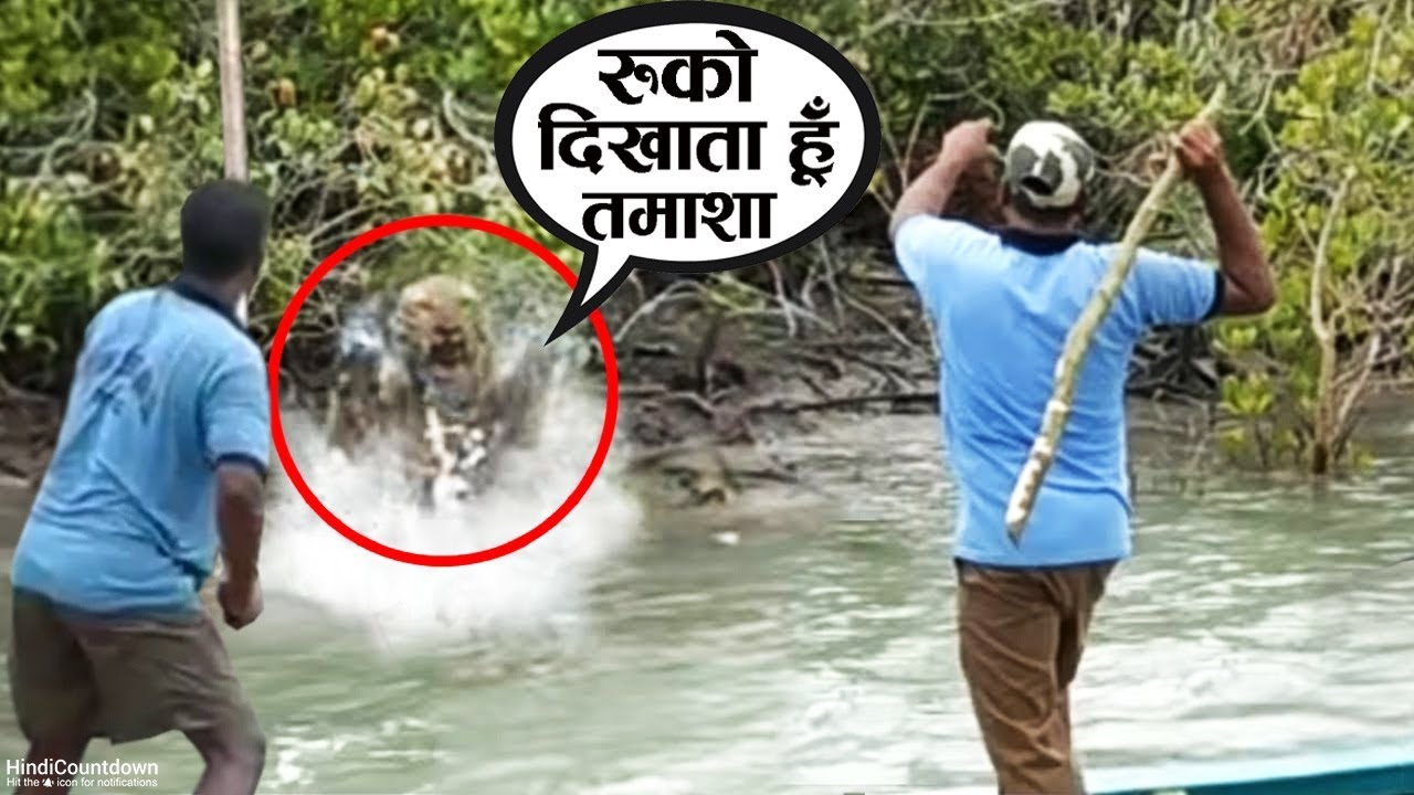 चाहे जान चली जाए लेकिन तमाशा देखना जरूरी है | Animal Moments (Part-12)