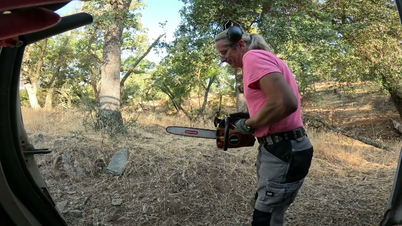 Cutting firewood with the Echo 303T