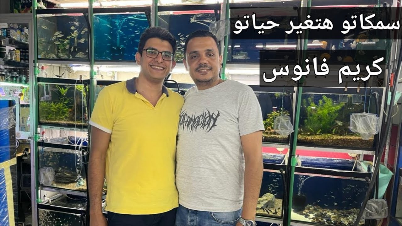 رساله جديده مع ضيف جديد كريم فانوس بورصة اسماك الزينه fanous aquarium