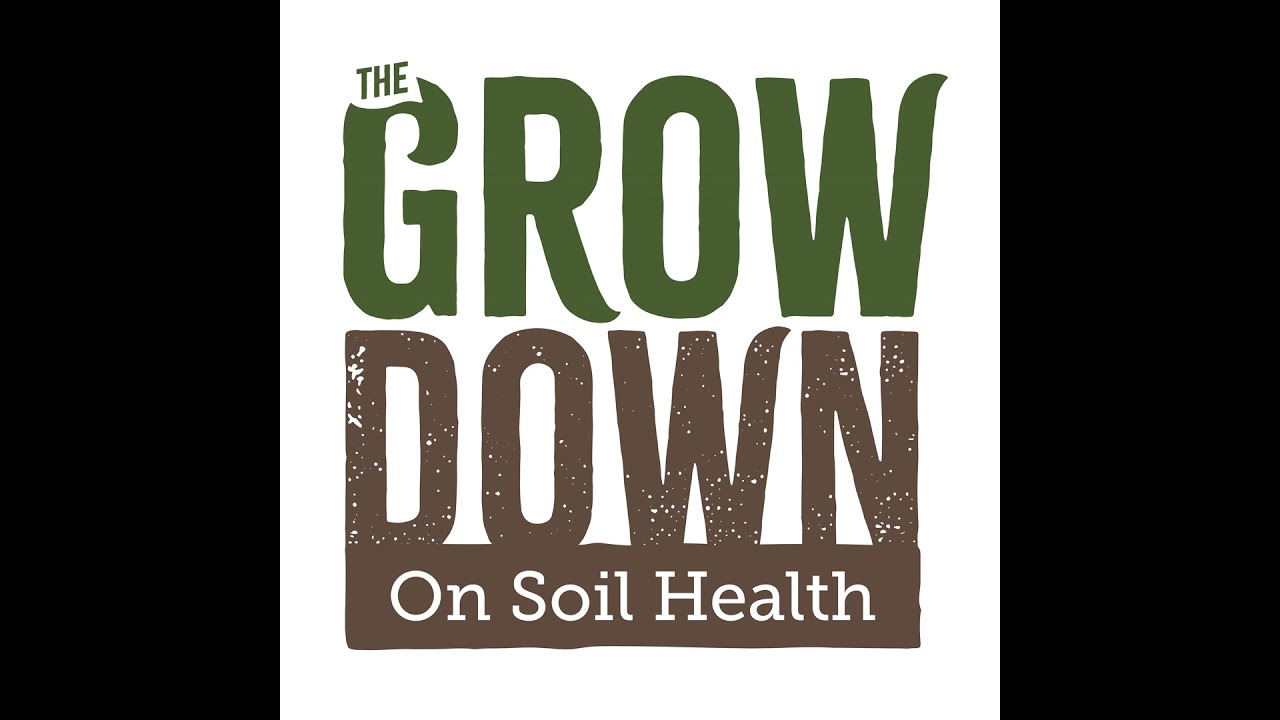 Progress Starts with a Problem: A Practical Look at Soil Health Consulting