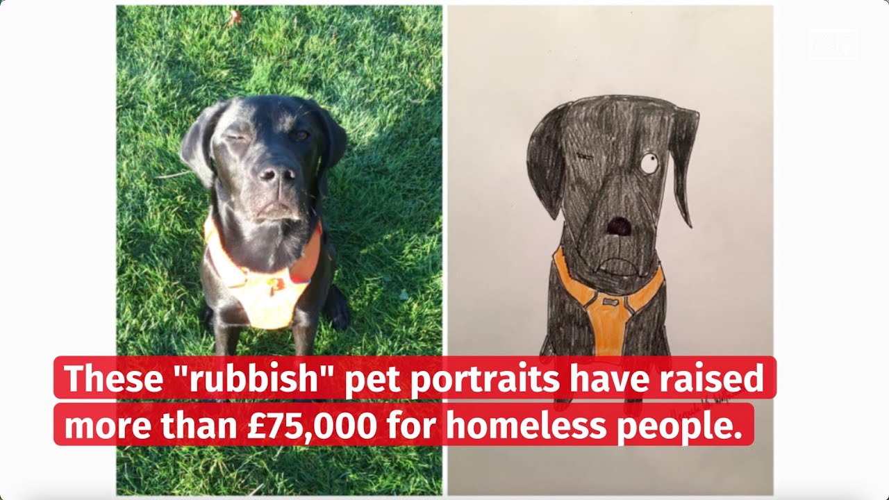 Rubbish pet portraits: Wonky critters raised £75,000 for homeless charity