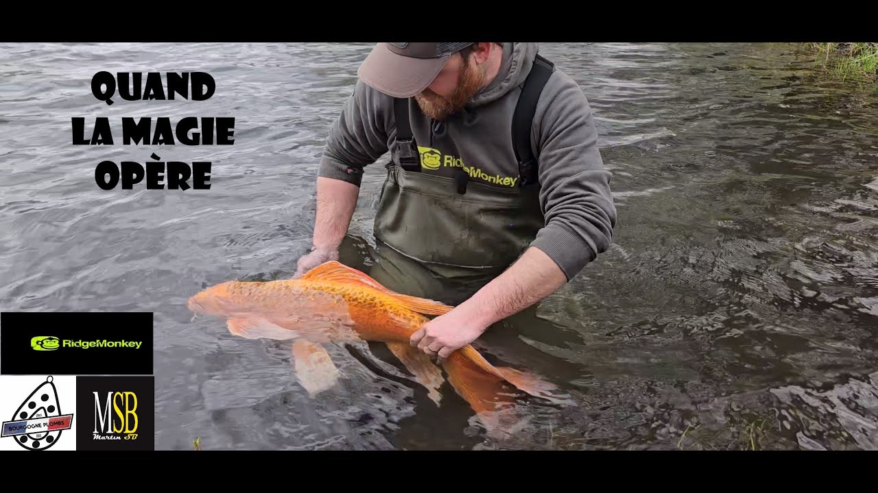 PÊCHE DE LA CARPE // Quand la magie opère //