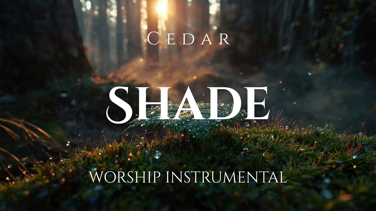 Cedar Shade &mdash; Serene Instrumental Worship for Reflection, Stillness, and Focus| Quiet Lanternlight