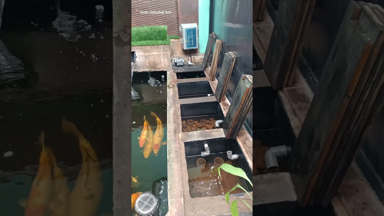 URUTAN MEDIA FILTER KOLAM KOI