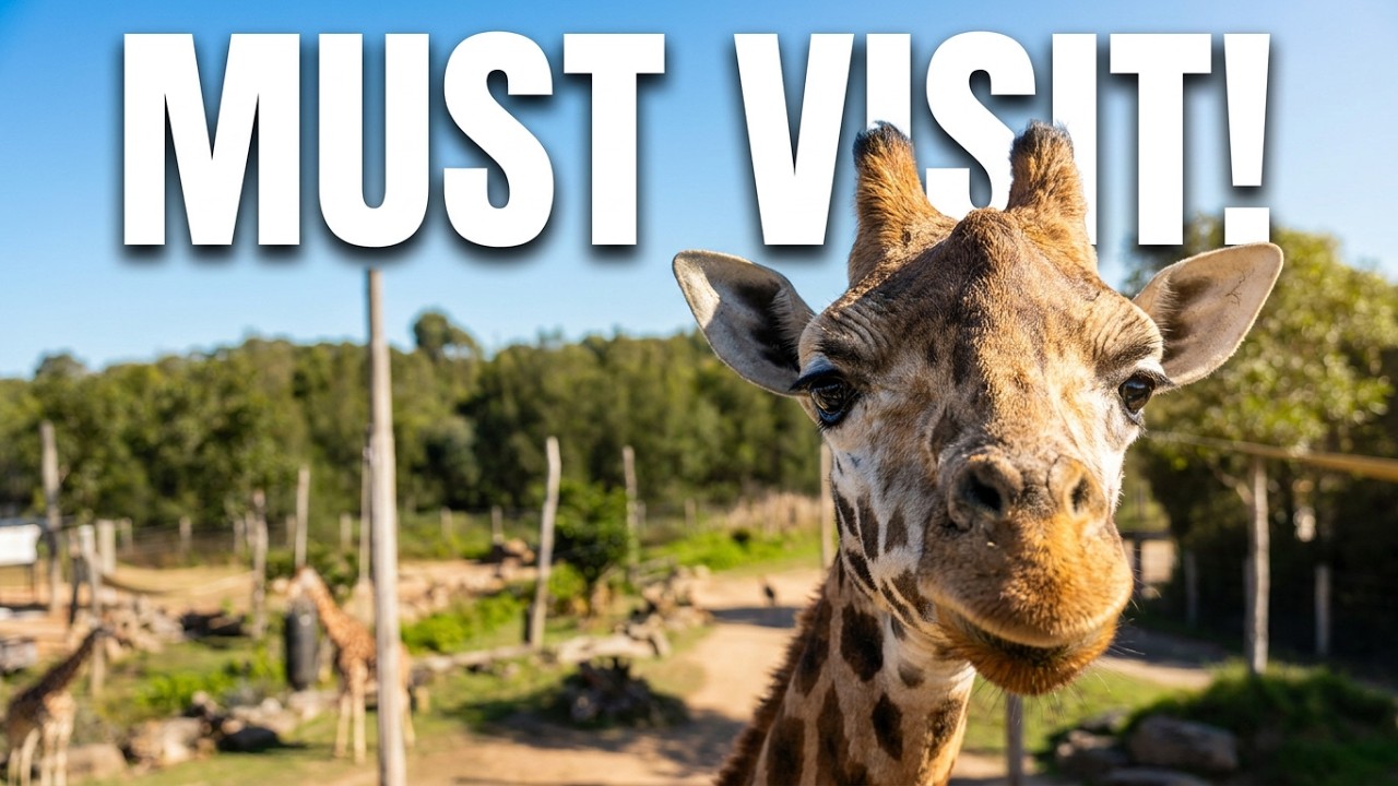 Sydney Zoo Guide: 5 Things You Must See (Family-Friendly Tips)