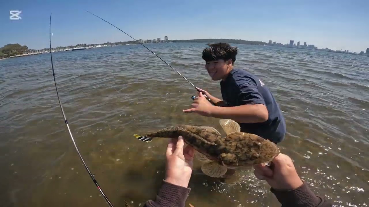 On the hunt to catch the 50cm swan river flatty