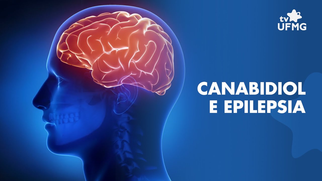 Pesquisa da UFMG mostra como o canabidiol atua no tratamento da epilepsia