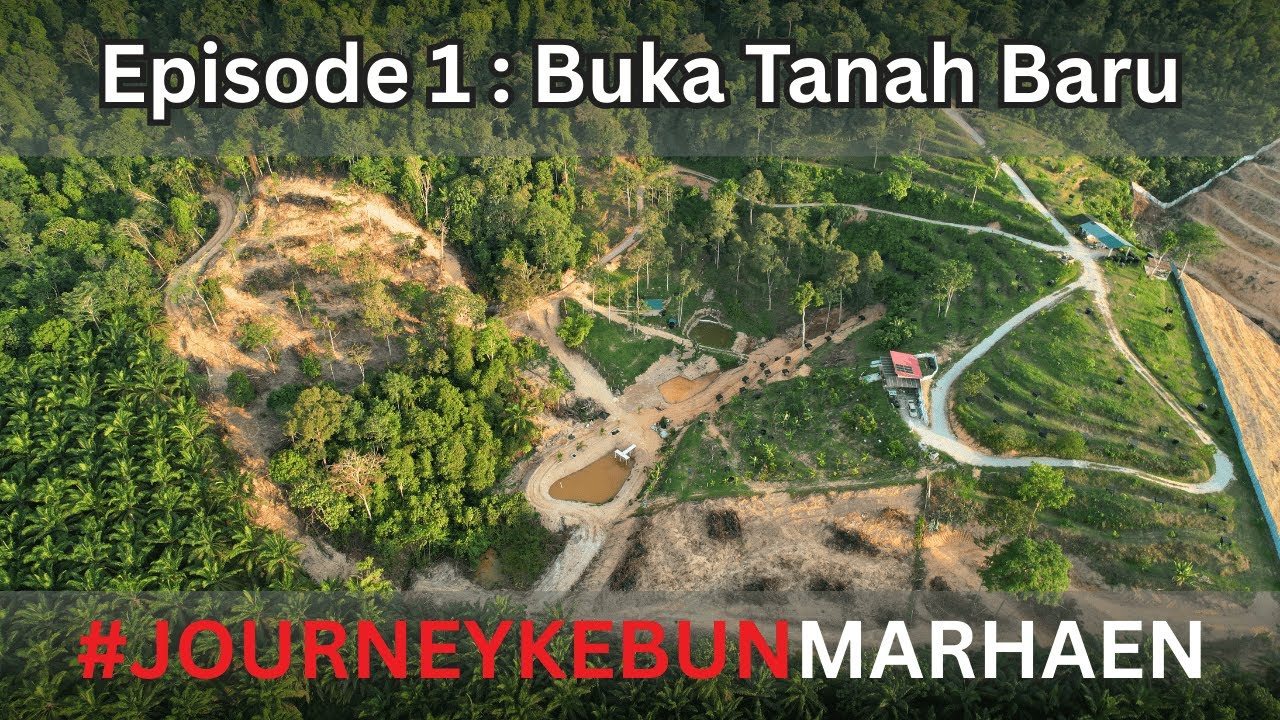 #1 JourneyKebunMarhaen Fasa 1 ( Beli tanah dan clearkan tanah)