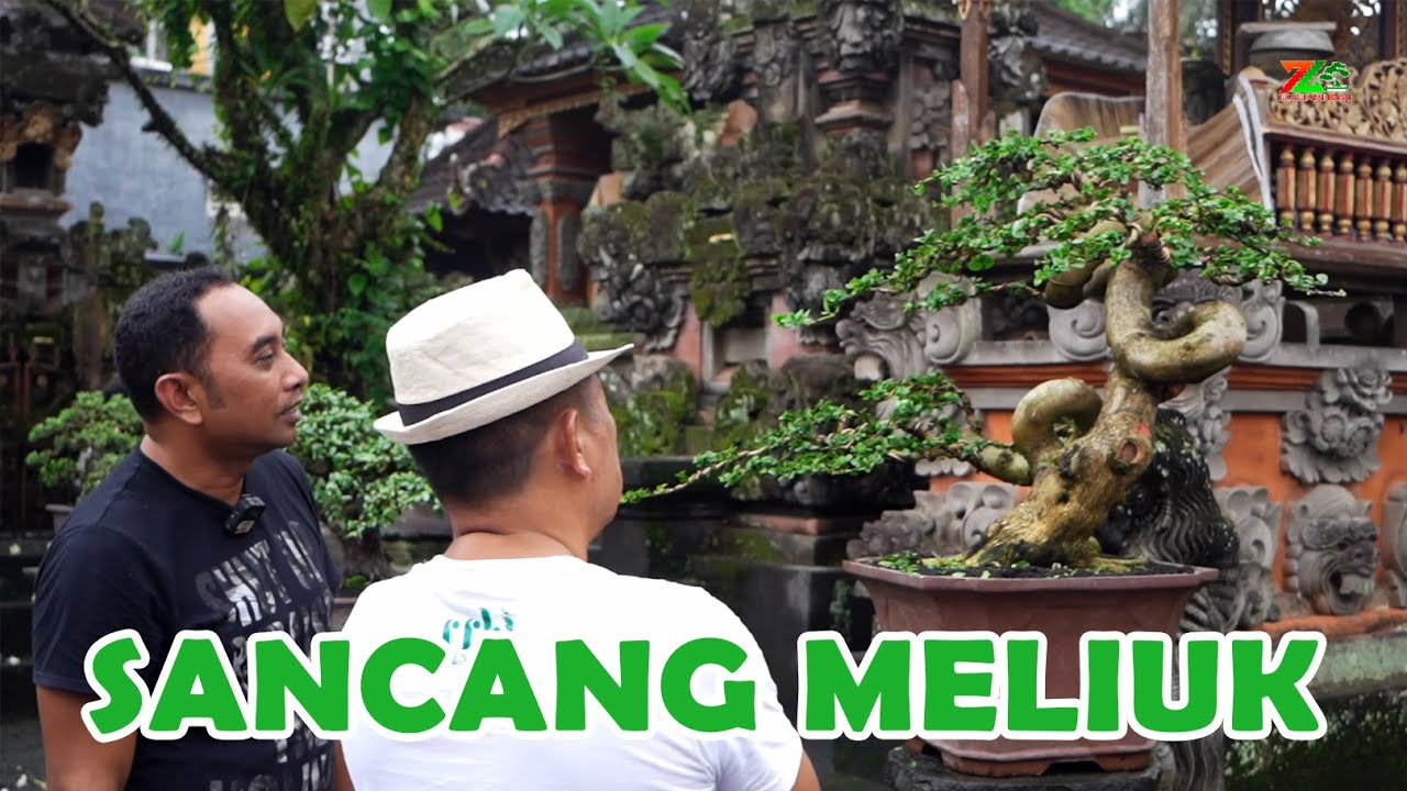 INI PASTI BANYAK YANG SENANG KALAU HARGANYA SEGINI