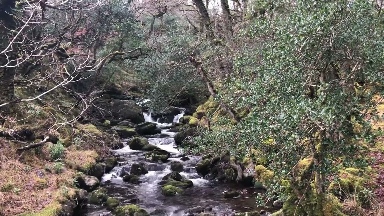RIVER SOUNDS OVER 5 hours of natural comforting sounds for sleep, study and chill