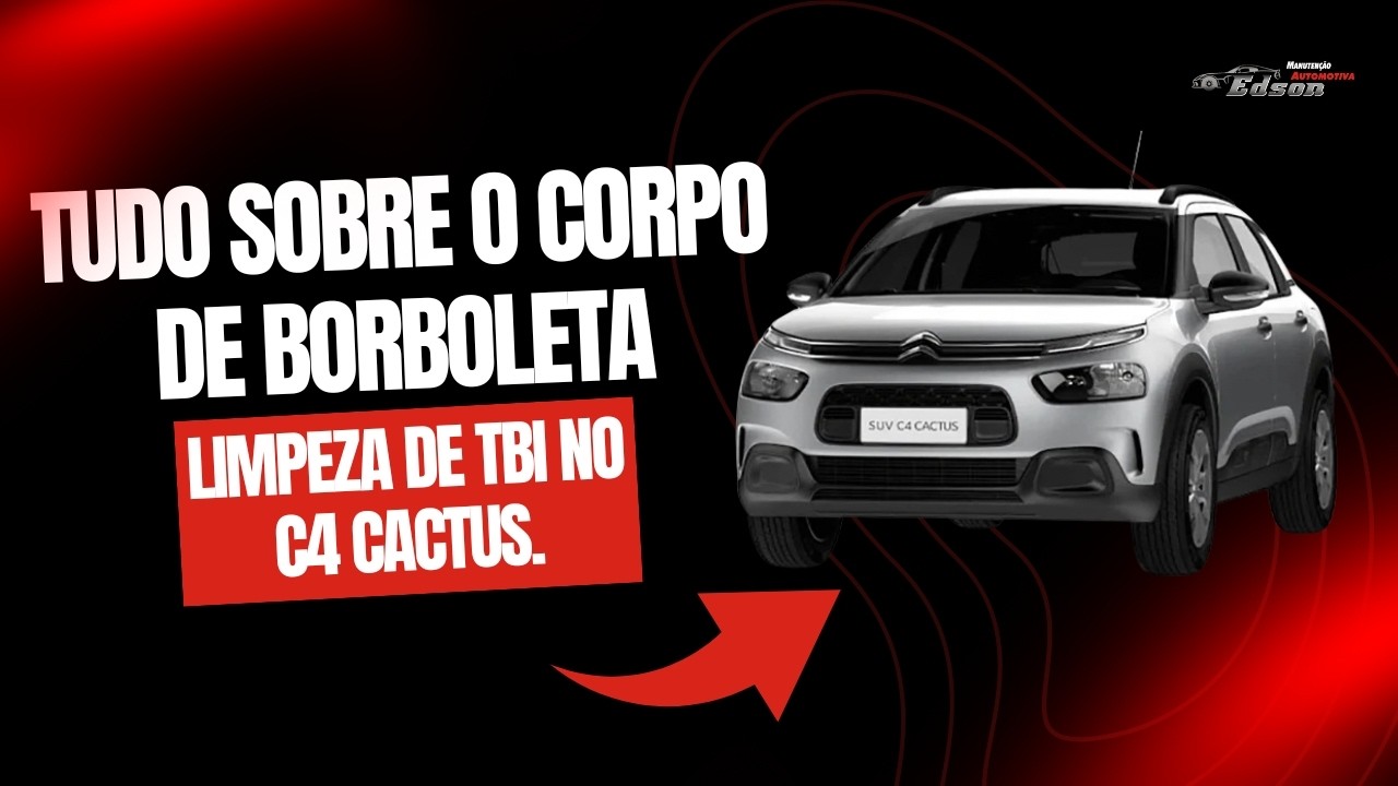 Tudo sobre o Corpo de Borboleta: Limpeza, Regulagem e Reset Eletrônico no C4 Cactus.