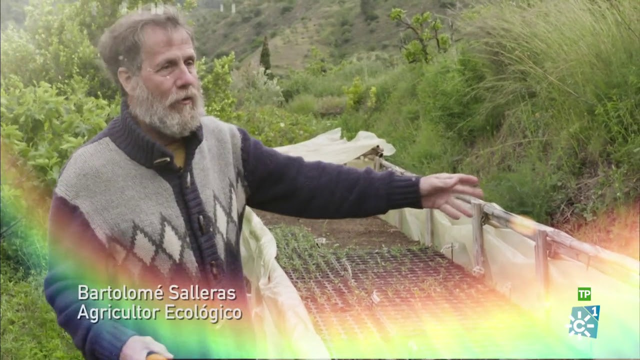 Campechanos | La ecología como un modo de vida y huertos mineros