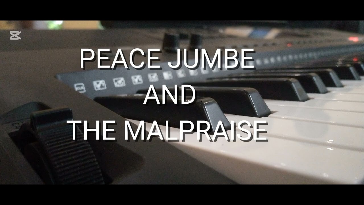 Mwayenera_Peace Jumbe and the Malpraise