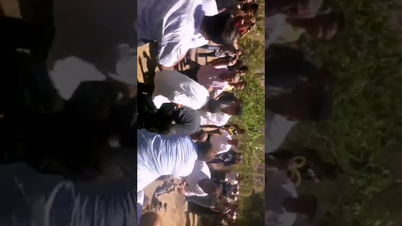 Kavşut güldağ köy düğünlerinde serçe oyunu.. Demircioğlu