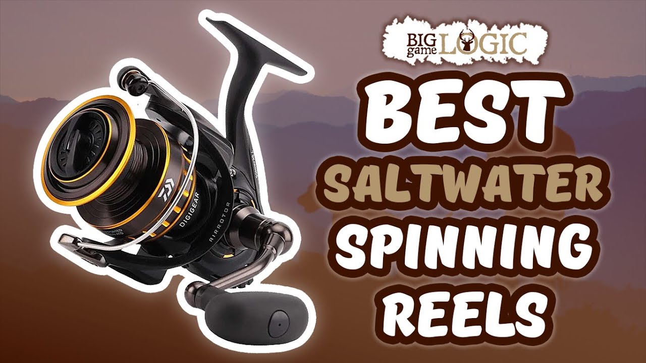 Best Saltwater Spinning Reels 🎣: 2020 Buyer’s Guide | Big Game Logic
