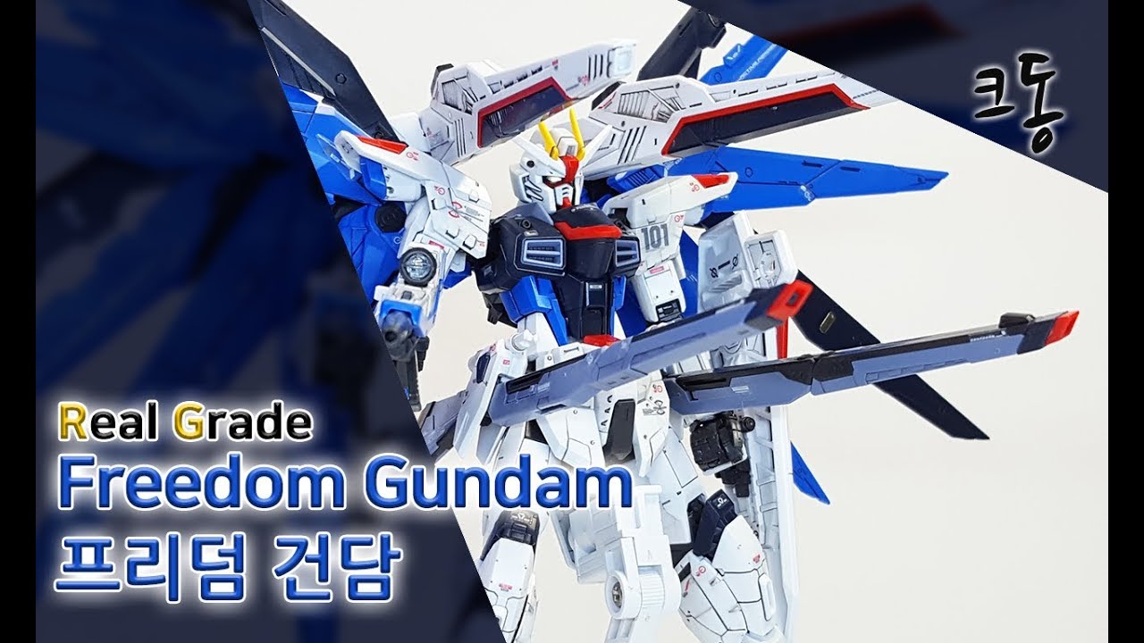RG 프리덤 건담 빠른조립 (Real Grade Freedom Gundam Speed Construction)｜크동