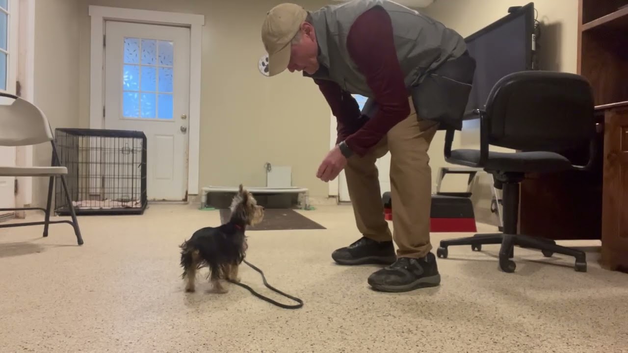 Suzy Q's Last day 02-18-26