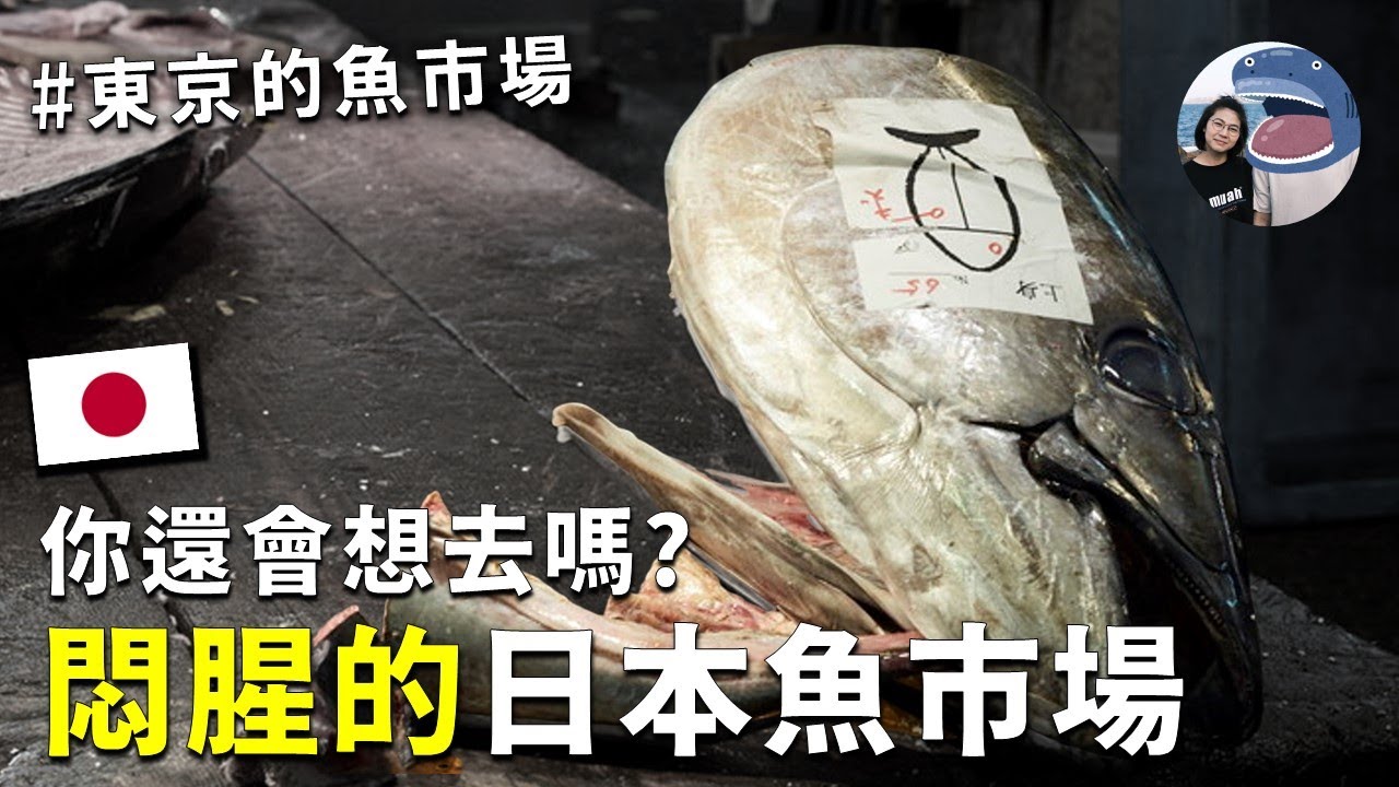 難道日本嚴格的衛生管理是騙人的 ?  日本東京水產批發魚市場，沒想到會有很難聞的魚腥味 . . .